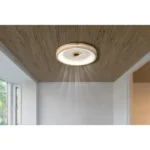 PLAFONSKI VENTILATOR LED GATIAN 03650 GLOBO LIGHTING - Slika 2