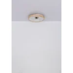 PLAFONSKI VENTILATOR LED GATIAN 03650 GLOBO LIGHTING - Slika 12