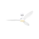PLAFONSKI VENTILATOR MAGGIE 03602 GLOBO