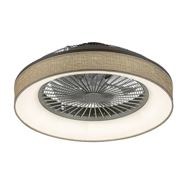 PLAFONSKI VENTILATOR BENICIO 5420 RABALUX